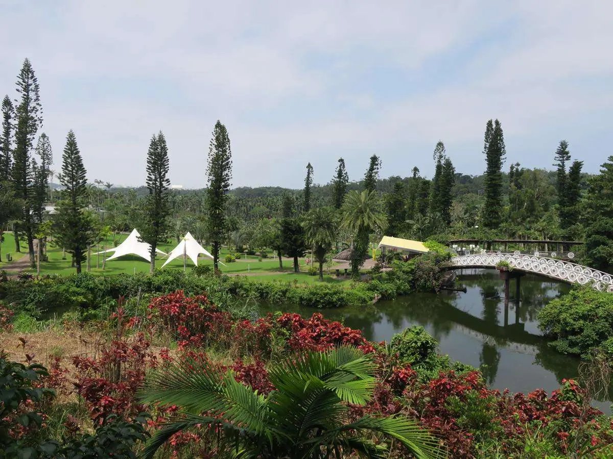 🌴 아름다운 야자수 공원 오키나와・동남 식물 낙원(츄라야시 파쿠 오키나와・토난 쇼쿠부츠 라쿠엔) 이미지 1